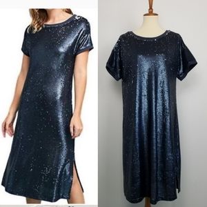 Anthro Moulinette Soeurs Blue Sequin Dress Large